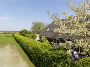 Ferienhaus mit Schwimmbad und Sauna Ferienhaus mit Schwimmbad und Sauna