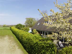 Ferienhaus mit Schwimmbad und Sauna