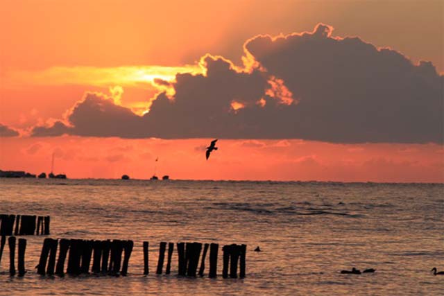 Sonnenaufgang am Lensterstrand